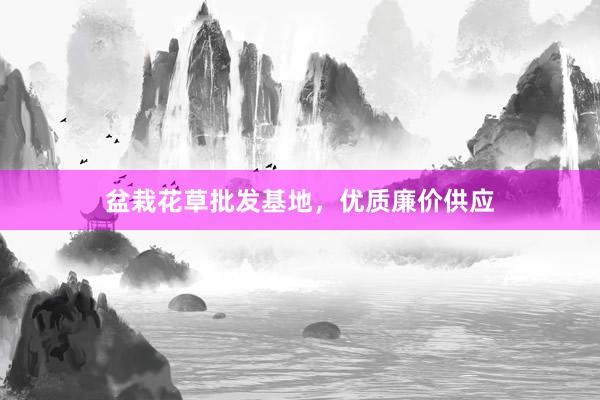 盆栽花草批发基地,优质廉价供应